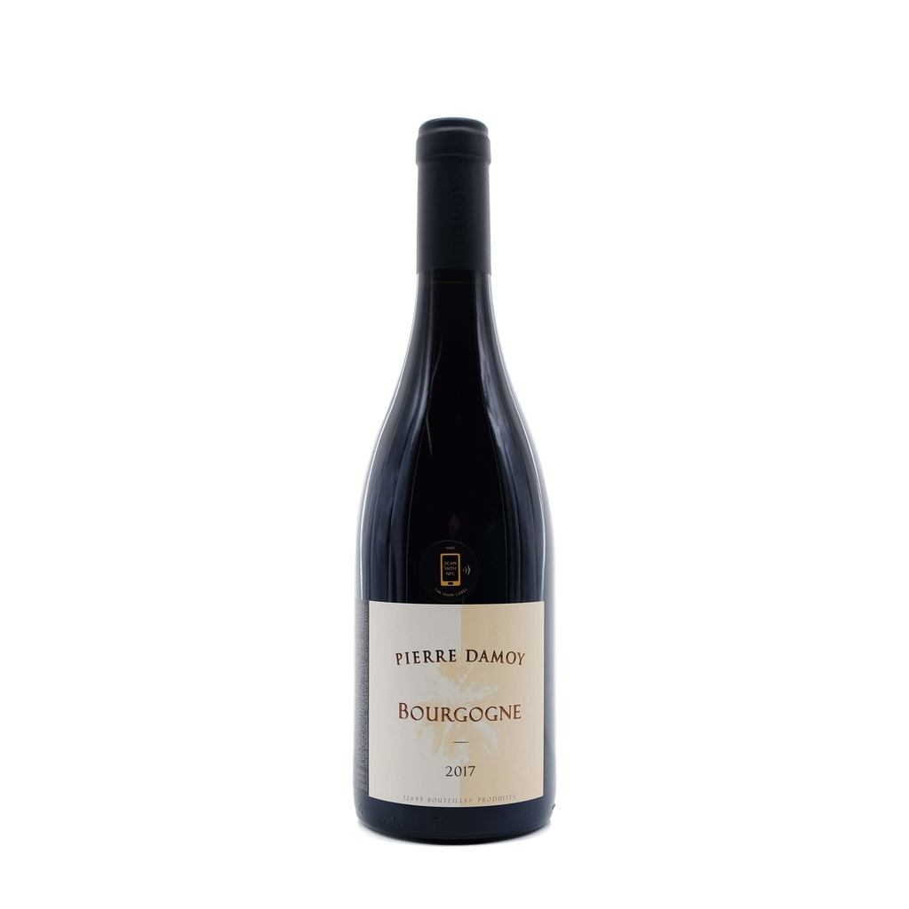 Domaine Pierre Damoy Bourgogne 2017