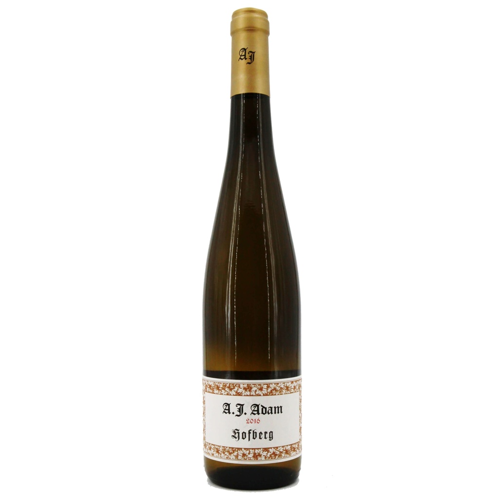 Weingut A. J. Adam Hofberg Riesling Trocken 2016