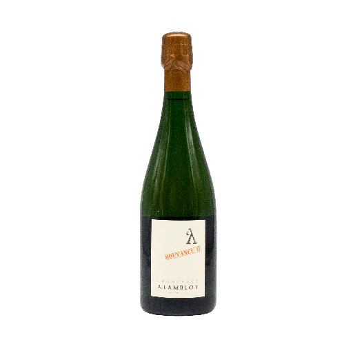 [LAMBL02_NV_0750] Alexandre Lamblot "Mouvance" Brut Nature 2017